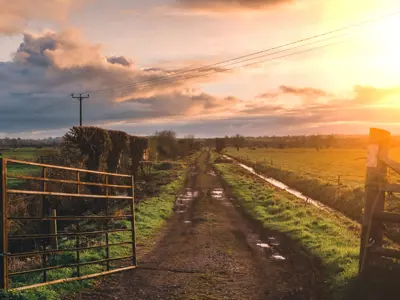 Dirt driveway on farm with sun setting in the background