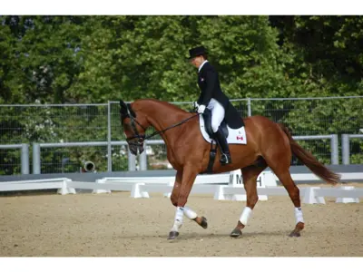 Michelle Mueller riding on the back of horse