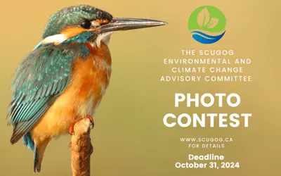 bird perched on branch with SECCAC logo on right side and text reading 'The Scugog Environmental and Climate Change Advisory Committee Photo Contest. www.scugog.ca for details. Deadline October 31, 2024'