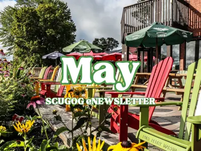 Muskoka chairs in front of Port Perry Marina with garden in front, overlayed white text with green border reading 'May Scugog eNewsletter'