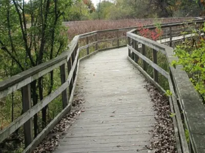 Boardwalk Trail