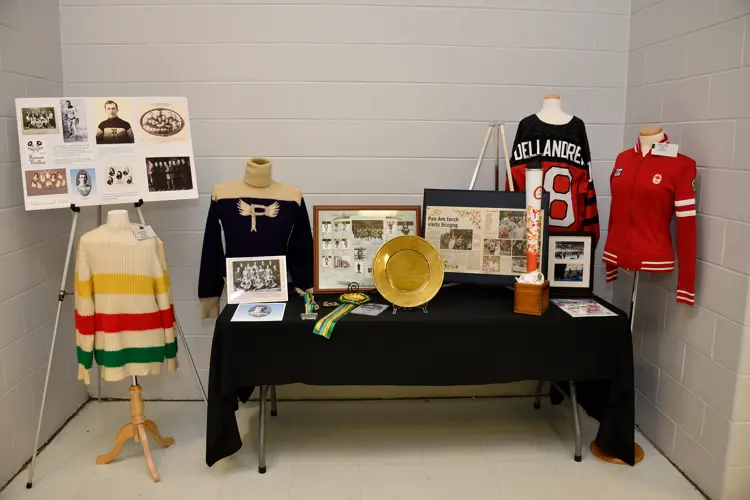 Hockey display